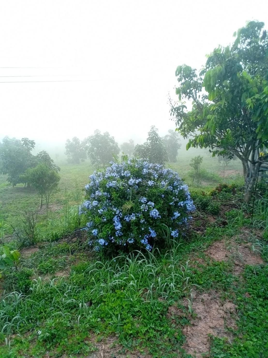Phu Aram Khao Kho Resort Exterior photo