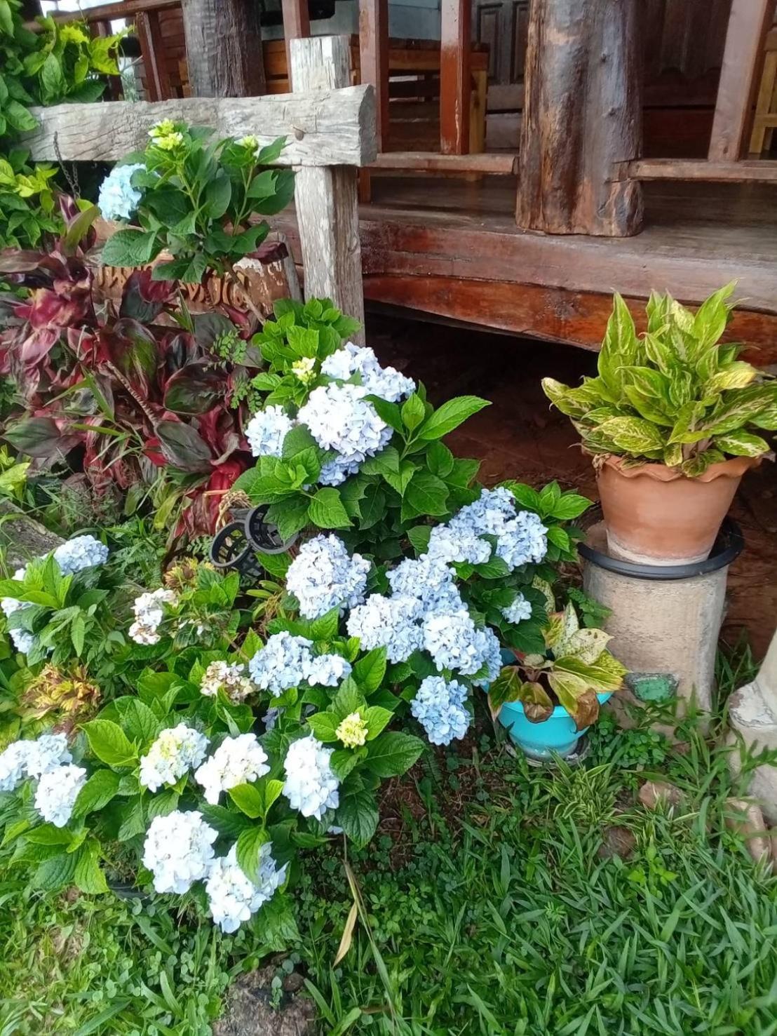 Phu Aram Khao Kho Resort Exterior photo