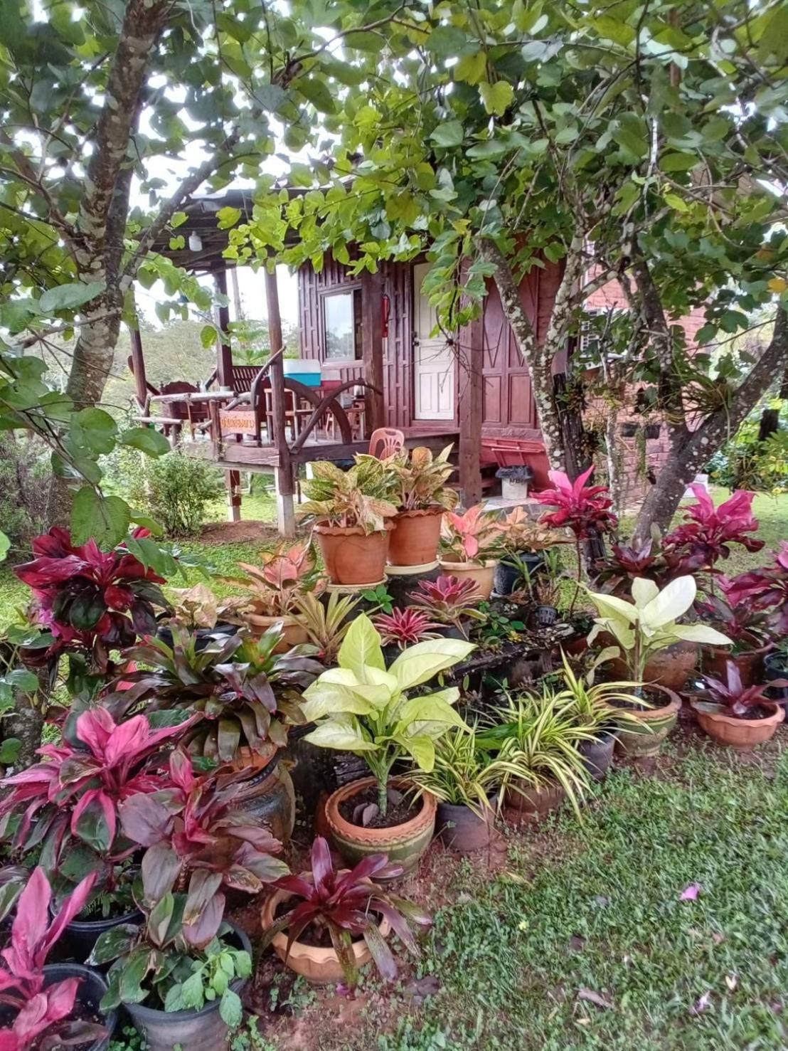Phu Aram Khao Kho Resort Exterior photo